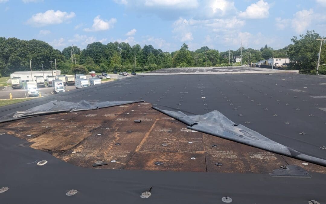 Commercial Roofing in Raleigh, NC: What Business Owners Should Know Before Signing a Contract?