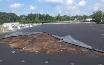 Commercial Roofing in Raleigh, NC: What Business Owners Should Know Before Signing a Contract?